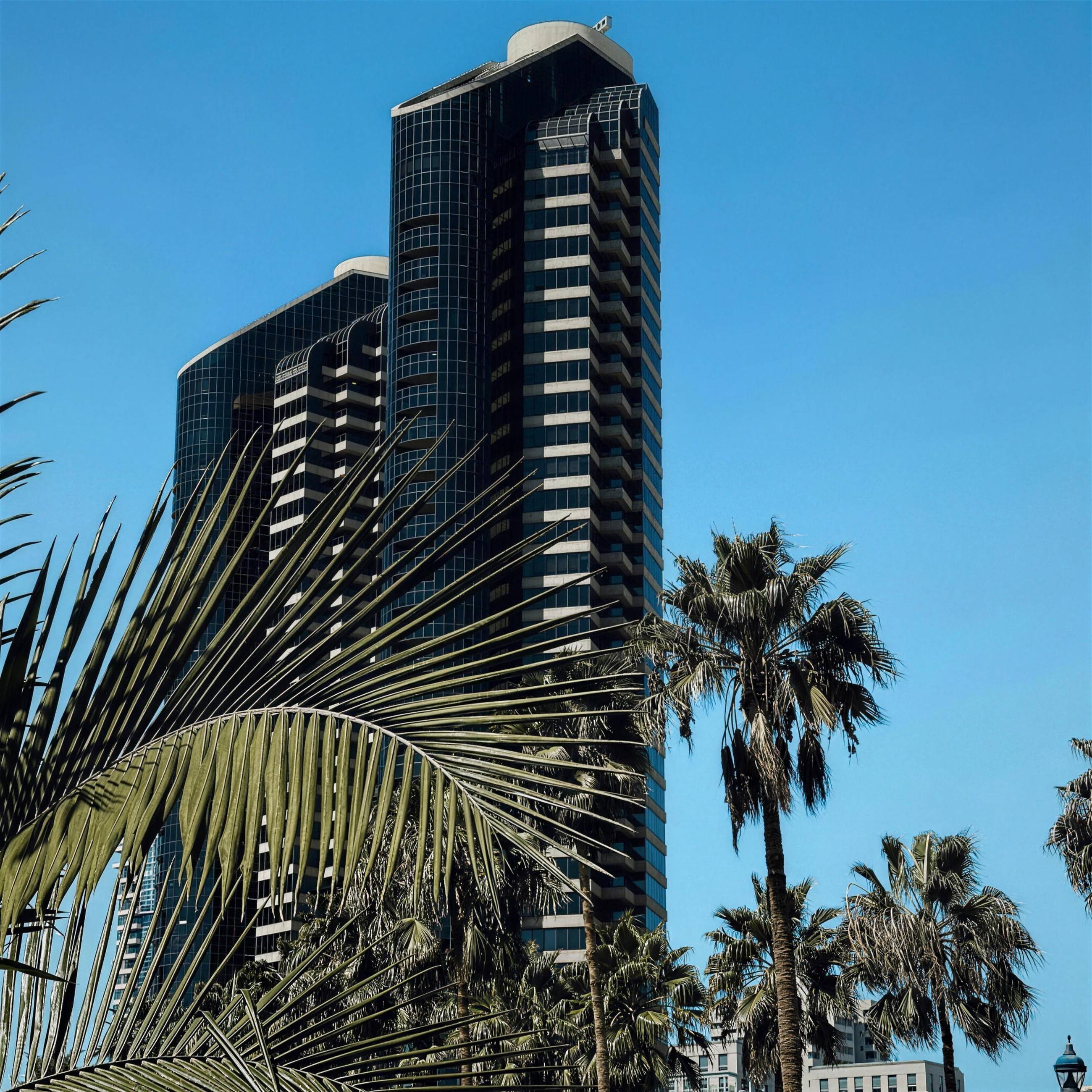 High-rise tower at night behind palm trees in San Diego